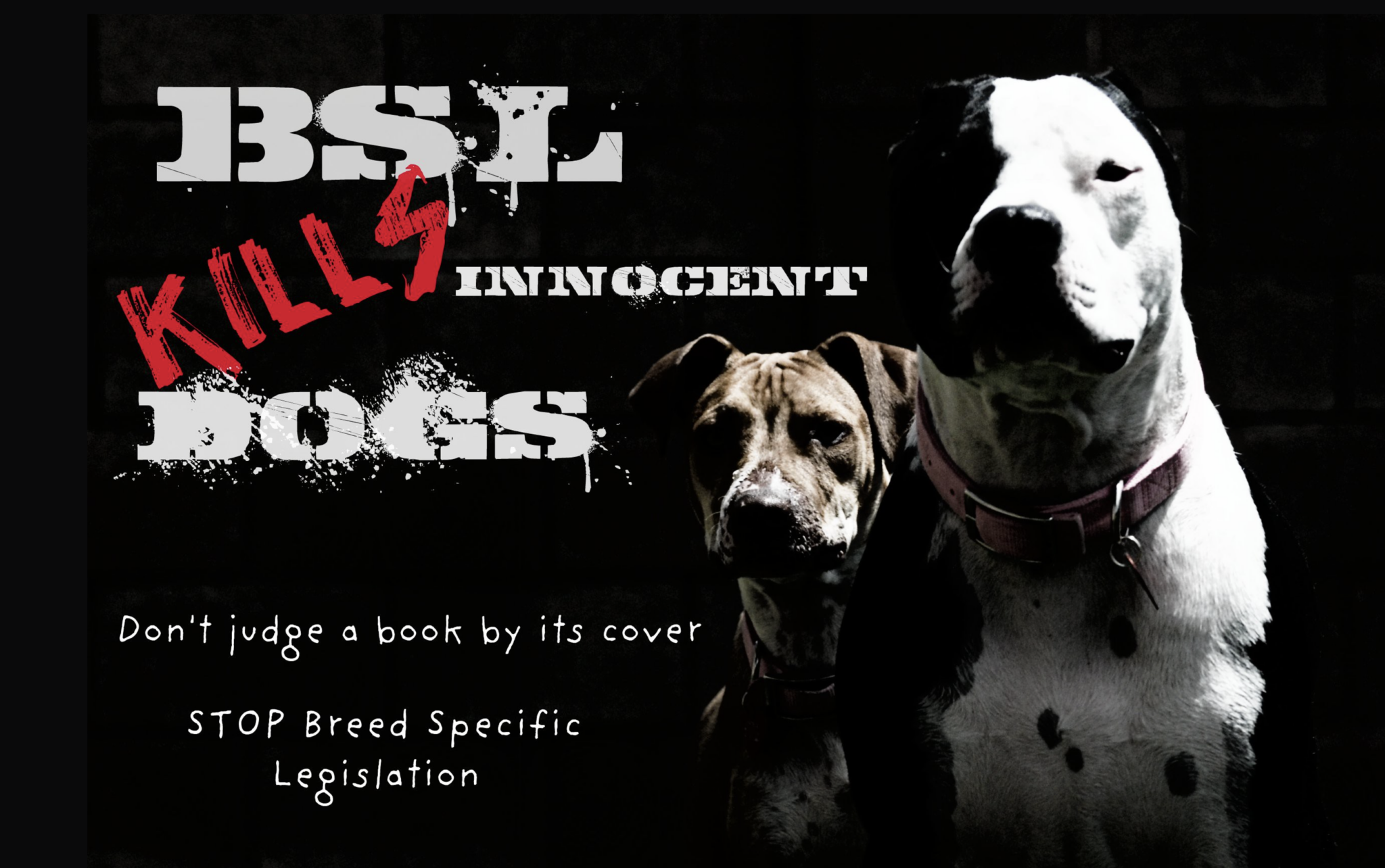 Breed Specific Legislation WPP