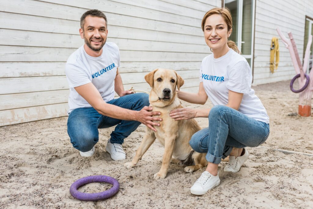 smiling volunteers of animals shelter squatting and palming labrador