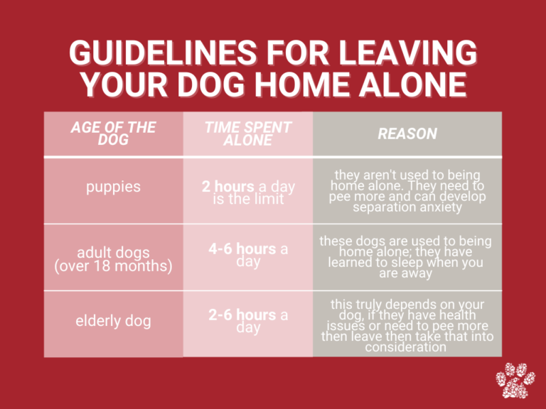 Tips for Leaving Your Dog Home Alone