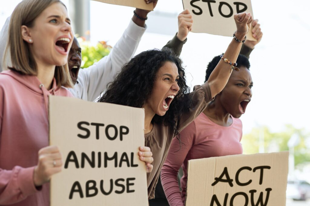 National Justice For Animals Week