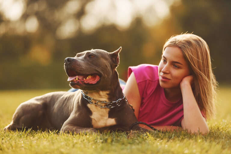 The Stereotypes Surrounding Pit Bulls