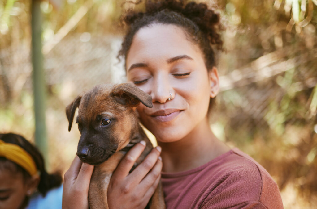 Love, dog and animal shelter with a black woman hugging a foster pet while at a shelter to adopt a