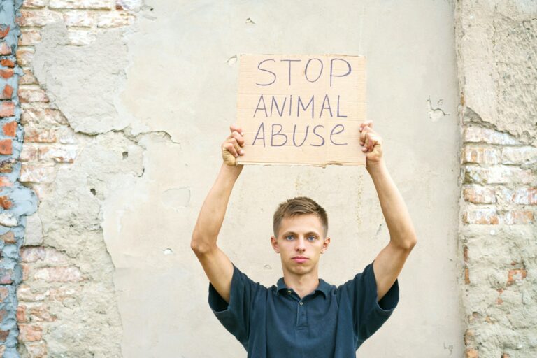 The Importance of Being Advocates for Abused and Abandoned Dogs