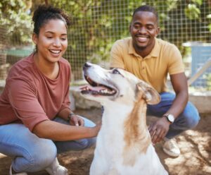 Black couple, dog and pet adoption at animal shelter for welfare, charity or help for homeless pets