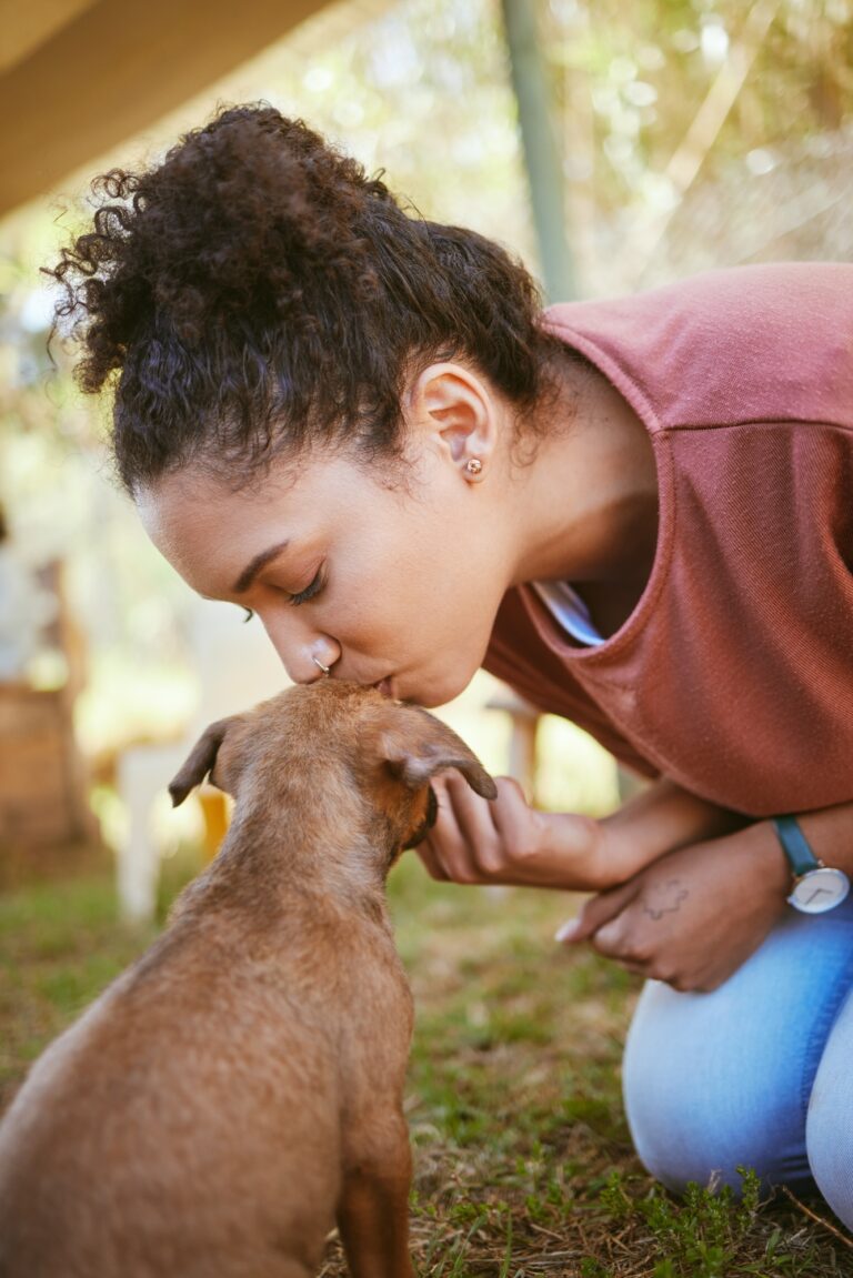 rehoming animals