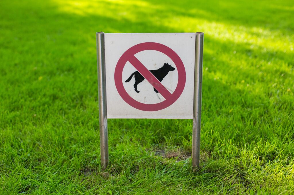 rehoming animals
