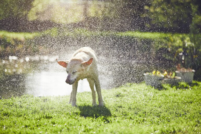 safety tips for summer