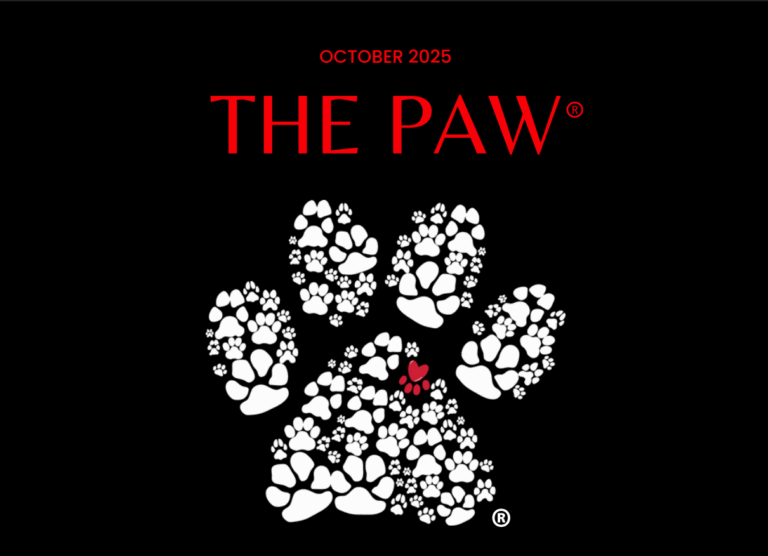 Screenshot 2025 10 10 080950