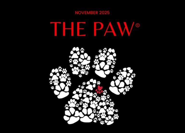 Screenshot 2025 11 10 123635