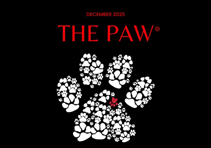 Screenshot 2025 12 08 085200