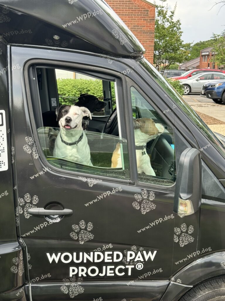 480968844 708087711542114 3841951003386728580 n