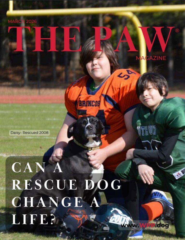 Screenshot 2026 02 26 1537111