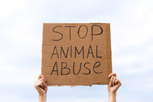 Animal Abuse Prevention Stop Animal Abuse Sign