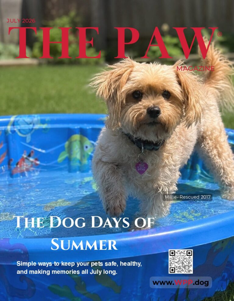 The PAW July 2026c pdf 1